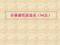 皮肤性病学——非淋菌性尿道炎ppt课件