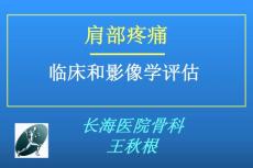 肩部疼痛ppt课件