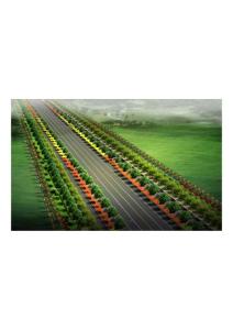 文峰路規(guī)劃副本