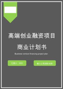 高端創業融資項目商業計劃書word模板