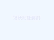 冠状动脉解剖