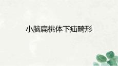 小脑扁桃体下疝畸形