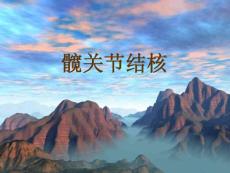 髋关节结核ct表现ppt课件