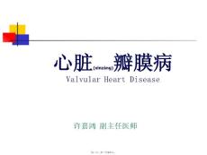心脏瓣膜病
