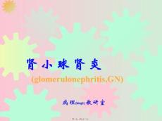 肾小球肾炎.