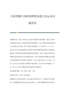 大鼠脊髓半切损伤模型的建立及运动功能评估