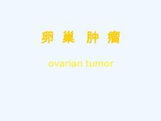 卵巢肿瘤（67页）