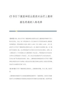 CT导引下腹腔神经丛毁损术治疗上腹部癌性疼痛的入路选择