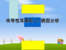 传导性耳聋的ct病因分析