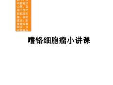 嗜铬细胞瘤小讲课