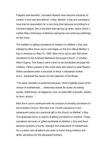 carnations for mothers