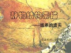 【廣告?zhèn)髅健快o物結構素描（共23頁）