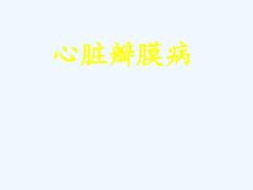 心瓣膜病
