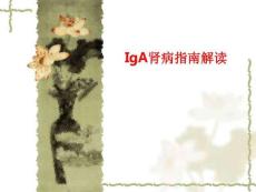 IgA肾病指南解读