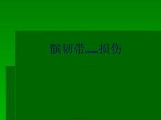 髌韧带损伤