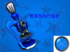 疟疾、登革热