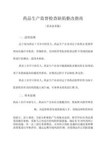 藥品生產(chǎn)監(jiān)督檢查缺陷整改指南