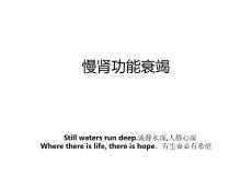 慢肾功能衰竭
