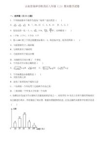 2019-2020年菏泽市牡丹区八年级上册期末数学试题(有答案)-精选