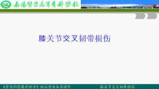 膝关节交叉韧带损伤