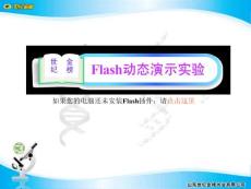 初中生物Flash动态演示实验实验7   口腔对淀粉的消化作用