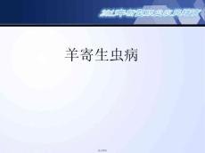 羊寄生虫病