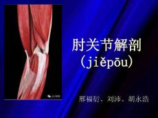 肘关节创伤