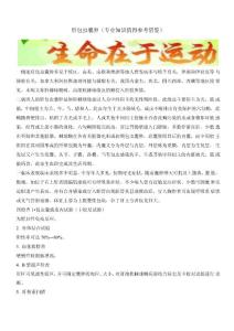 肝包虫囊肿