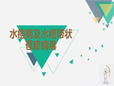 水痘病及水痘带状苞疹病毒