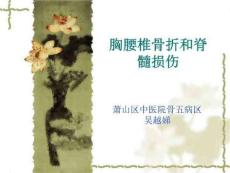 胸腰椎骨折病人的护理
