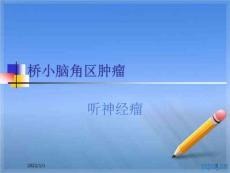听神经鞘瘤PPT课件