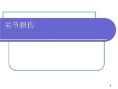 《关节损伤》PPT课件
