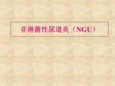 皮肤性病学非淋菌性尿道炎课件