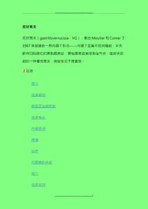疣状胃炎