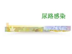 医学：尿路感染