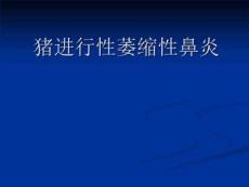 猪进行性萎缩性鼻炎