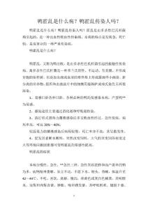 鸭霍乱是什么病？鸭霍乱传染人吗？