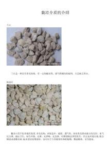 藍(lán)莓栽培介質(zhì)的介紹