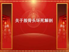 股骨头坏死解剖