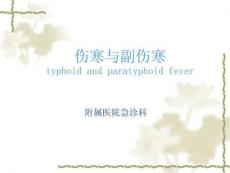 《伤寒与副伤寒》PPT课件