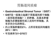 《胃肠道间质瘤》PPT课件