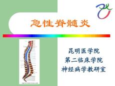 急性脊髓炎ppt课件