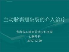 主动脉窦瘤破裂的介入治疗课件