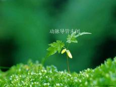 动脉导管未闭优秀课件