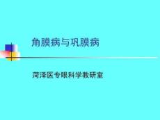 角膜病与巩膜病