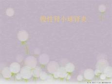 慢性肾小球肾炎