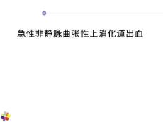 消化道出血PPT