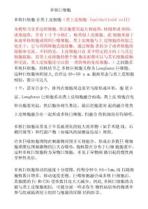 多核巨细胞