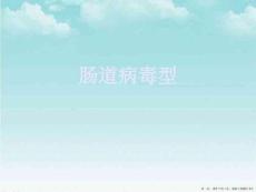 肠道病毒型