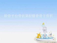 胫骨平台骨折第胫腓骨骨干骨折